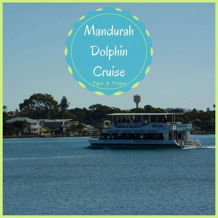 Discover what to expect during a mandurah dolphin cruise: Perth, Western Australia