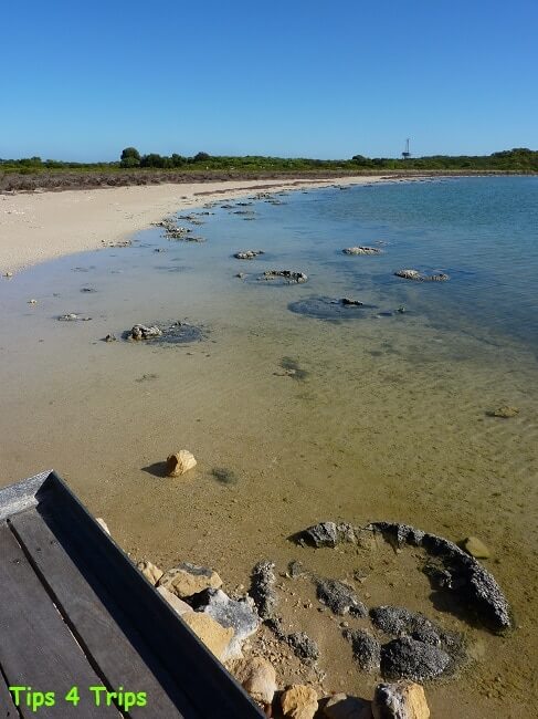 The living stromatolites in lake Thetis. Learn what to expect at Lake Thetis located near Cervantes and the Pinnacles.