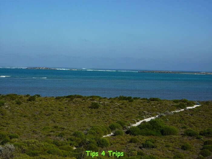 Views from Hansen Bay Lookout located near Lake Thetis.