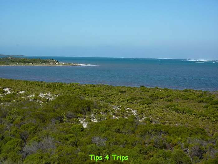View over green bushland to ocean and ways crashing out at sea