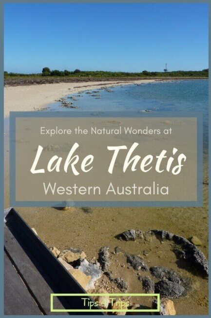 The sandy edge of Lake Thetis Western Australia with stromotalites in the water