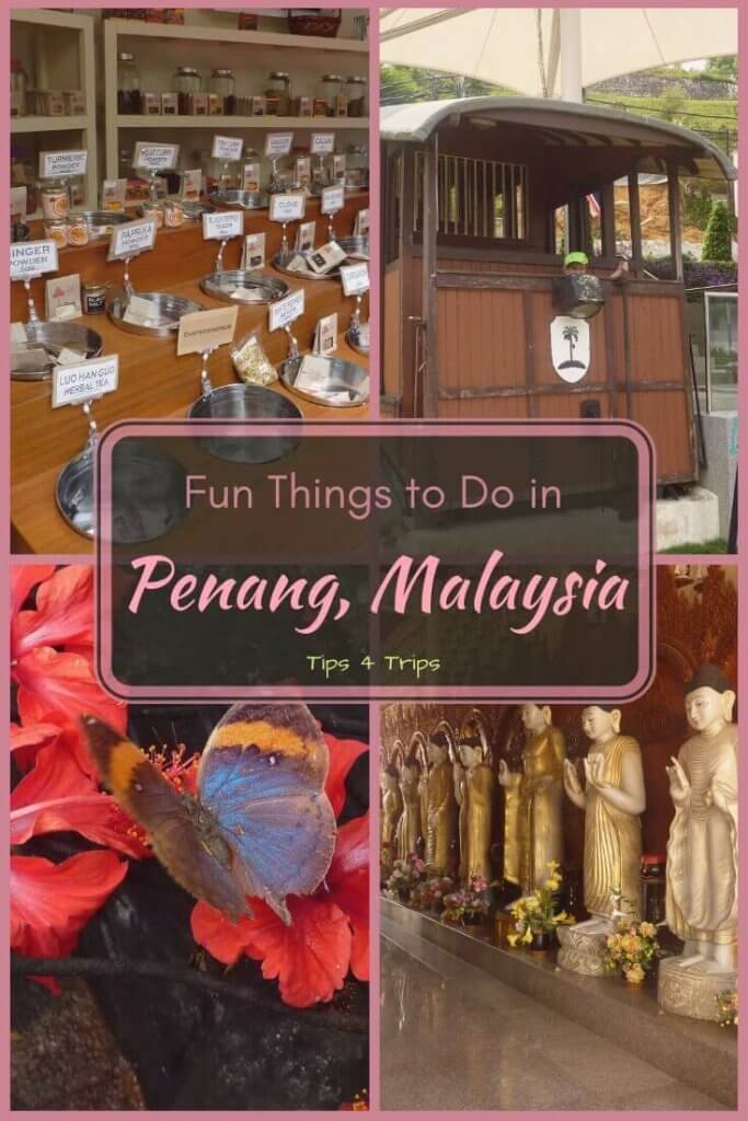 Four pictures of what to do on Penang Island including the Spice Garden, Penang Hill, the Butterfly Farm and visit Chinatown