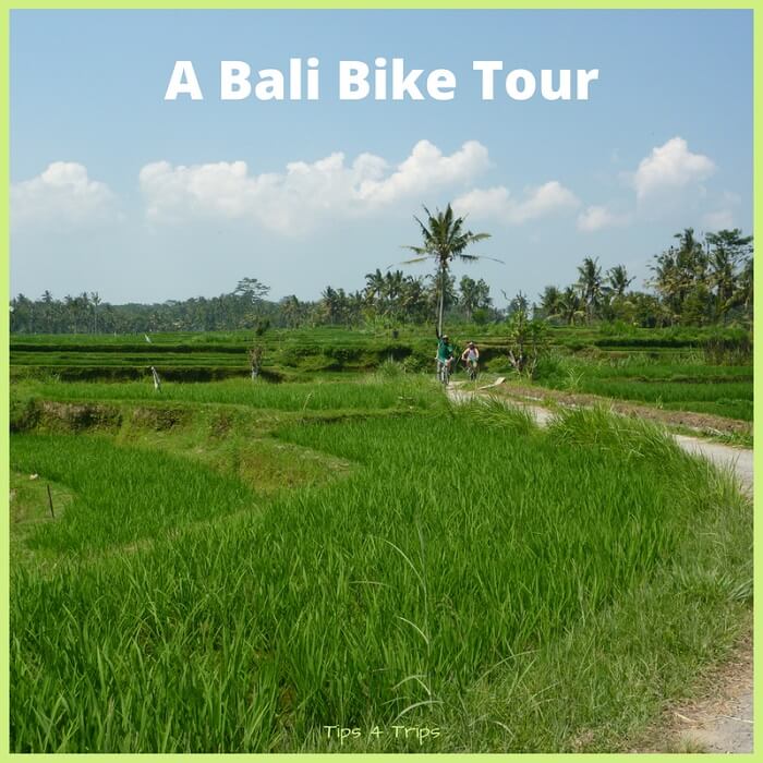 A Bali bike tour is a great way to see how the local Balinese people live.