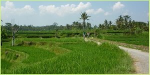 A Bali cycle tour gives your the chance to learn the Balinese culture