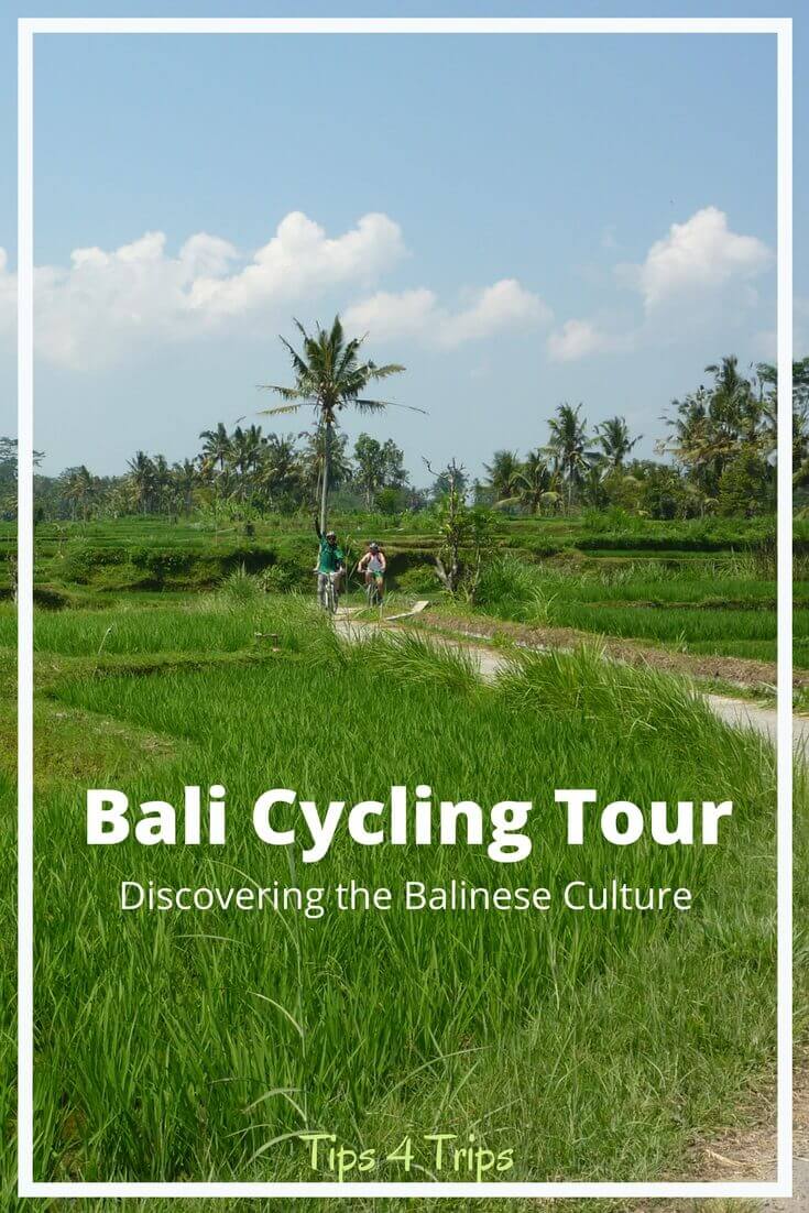 two people cycling in Bali through rice fields