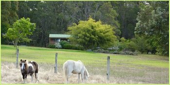My review of a Pemberton farm stay at Diamond Forest Cottages in the Southern forests region of Western Austalia