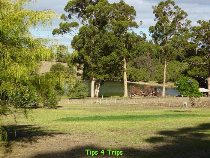 My review of a Pemberton farm stay at Diamond Forest Cottages in the Southern forests region of Western Austalia