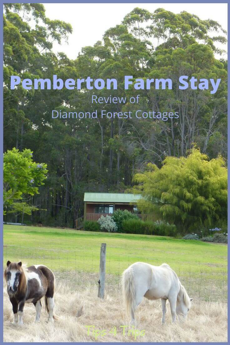 A Pemberton Farm Stay Review Diamond Forest Cottages Tips 4 Trips
