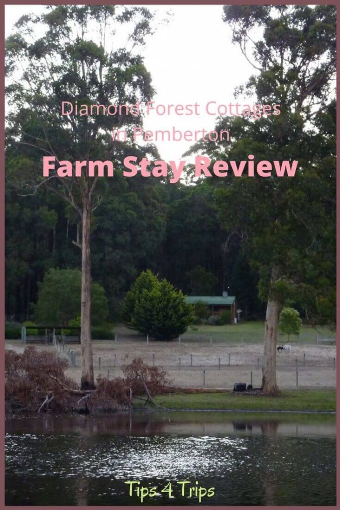 Looking cross a dam and farm land to the Diamond Forest cottages farm stay accommodation