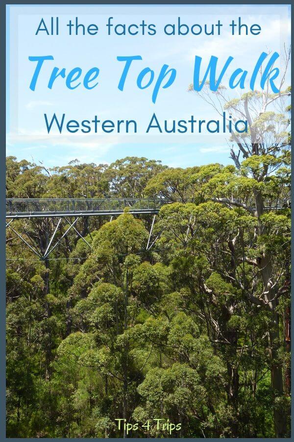 The treetop walkway in the valley of the Giants Western Australia