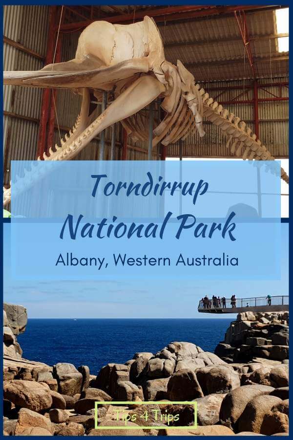 Pinterest Image of a whale skeleton and the The Gap lookout in Torndirrup National Park