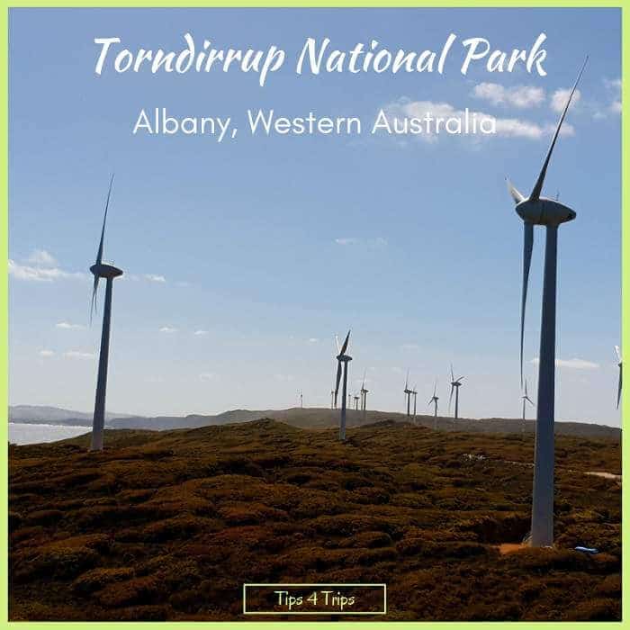 the giant windmills at the Albany windmill farm near the Southern Ocean