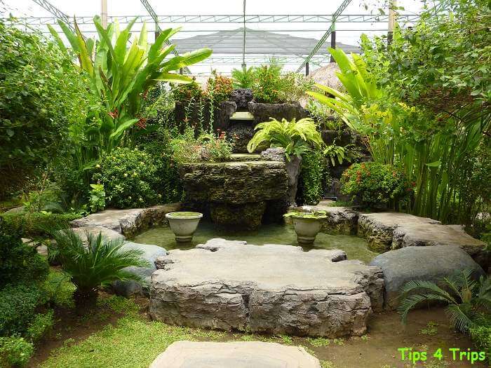 a water feature within the Bali butterfly park surrond by green plants