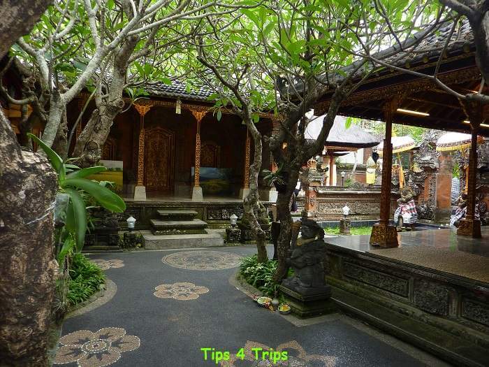 ornate paths, lush trees and open aired bali buildings inside the artist studio