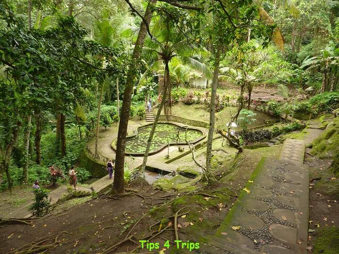 tropical gardens with paths winding through