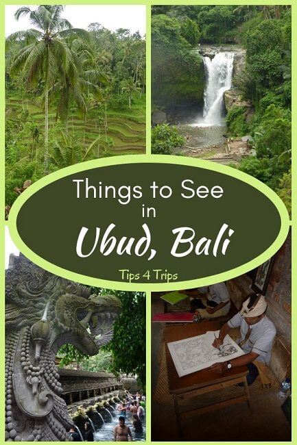 four things to see in Bali, the rice terraces, waterfalls, artists and Tirta Empul temple with text overlay things to see in Ubud Bali