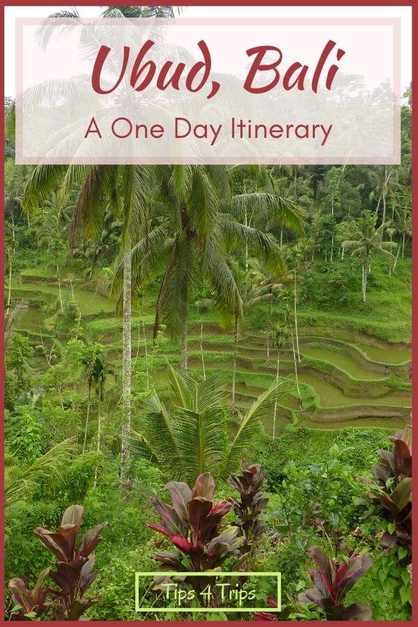 Tegallalang Rice Terraces with text overlay Ubud Bali a one day interary