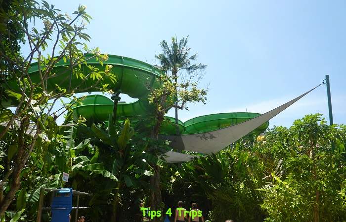 the very large open green waterslide called the Constrictor