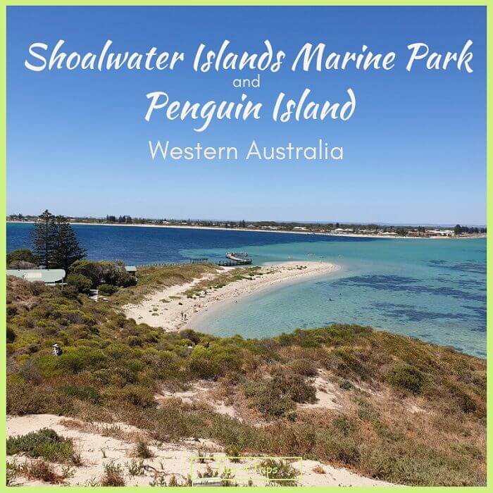 View from Penguin Island looking across the sandbar back to Shoalwater