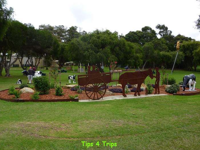 Cowaramup town park with black and white cow statues and iron sculpture