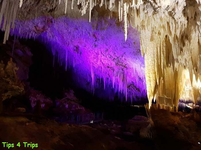 stalactites lit up by purple lights