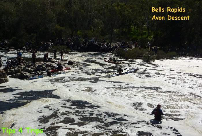 people around the Bells Rapids in Perth cheering on the paddle boats