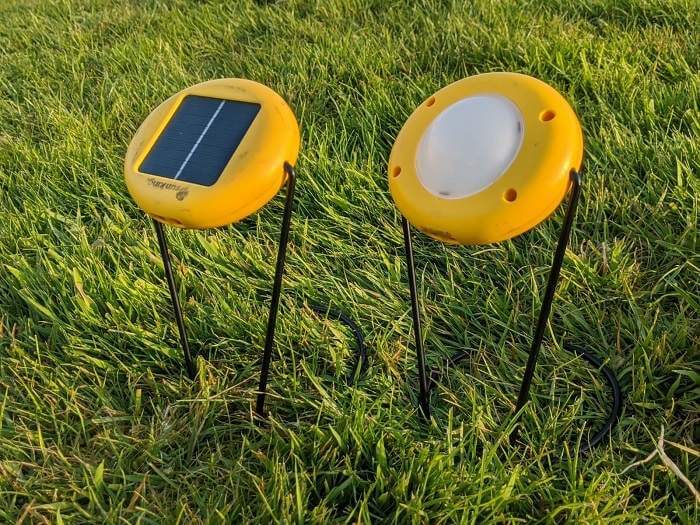 two yellow solar lights pegged in lawn
