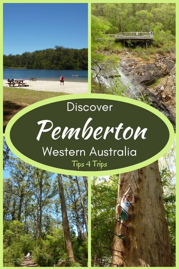 Four image Pinterest collage of things to do in Pemberton WA