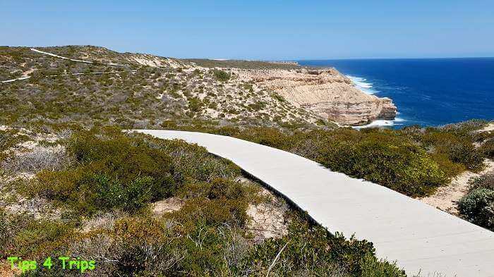 white timber boardwalk along the coastline cliff top