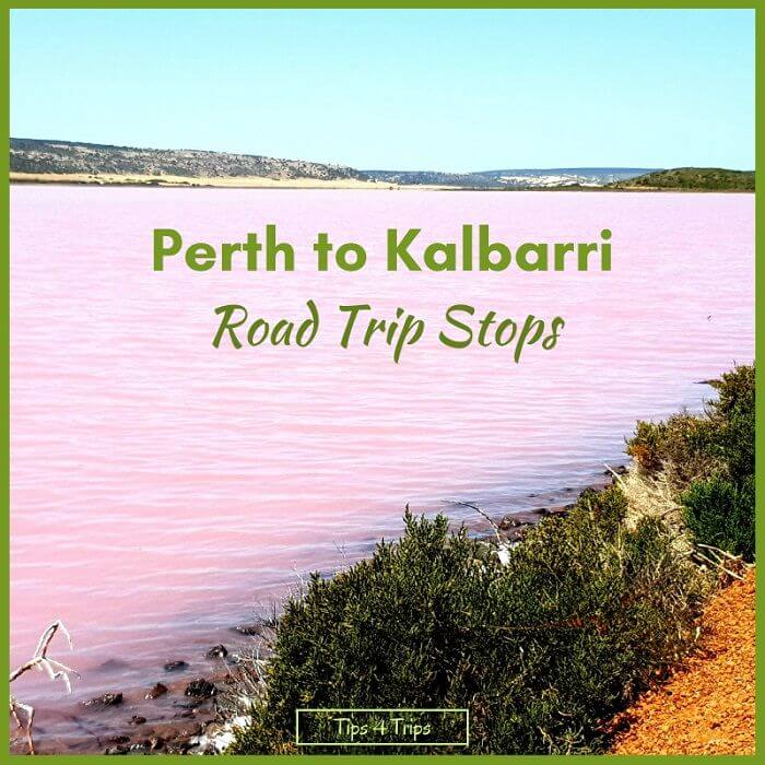 Hutt Lagoon nick named Pink lake as it is pink, one of the stops on a Perth to Kalbarri road trip