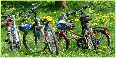row of mountain bikes with helmets on grass