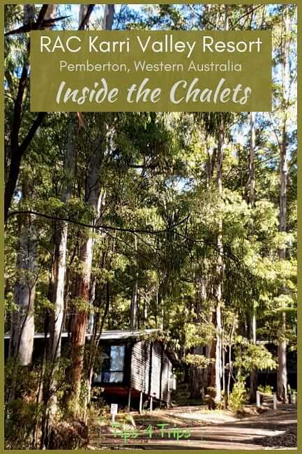 Karri Valley chalets in the tall forest