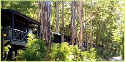 RAC Karri Valley Resort Review: What to Expect