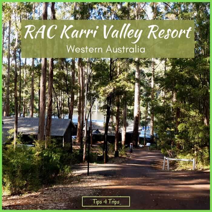 View through tall timber trees to Lake Beedalup at RAC Karri Valley Resort