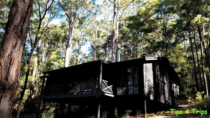 log cabin Karri Valley chalet set high in the forest