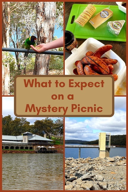 four image collage of Mystery Picnic food and activities