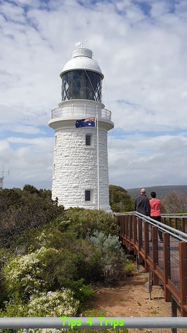 Cape Naturalist Lighthouse view from boardwalk