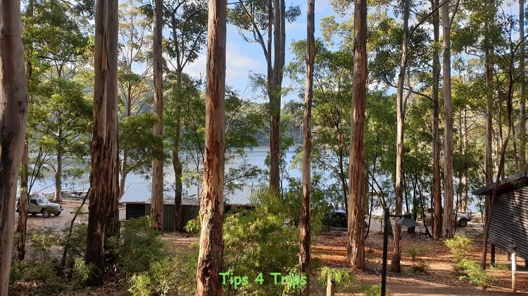 view through tall tree trunks to blue lake