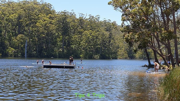 kids playing on pontoon in the middle of Lake Beedalup surrounded by forest