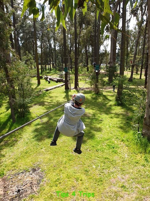 Teenager going along a zipline between two tall trees at the Forest Adventures high rope course in Busselton