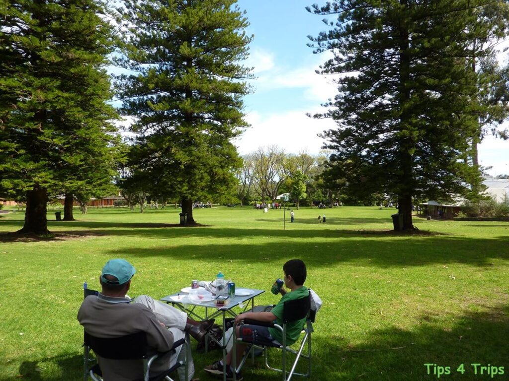 man and son sitting on at their own picnic gear of folding table and chairs in park